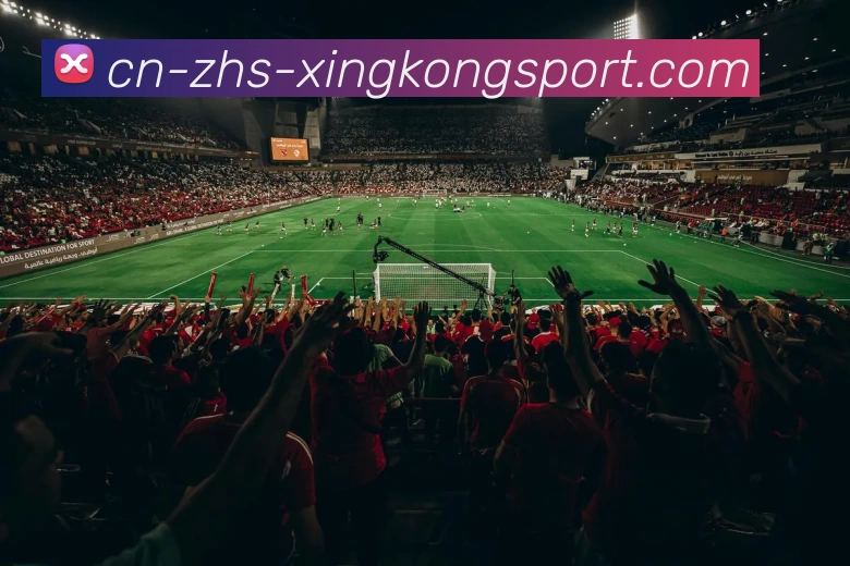 星空体育服务体系